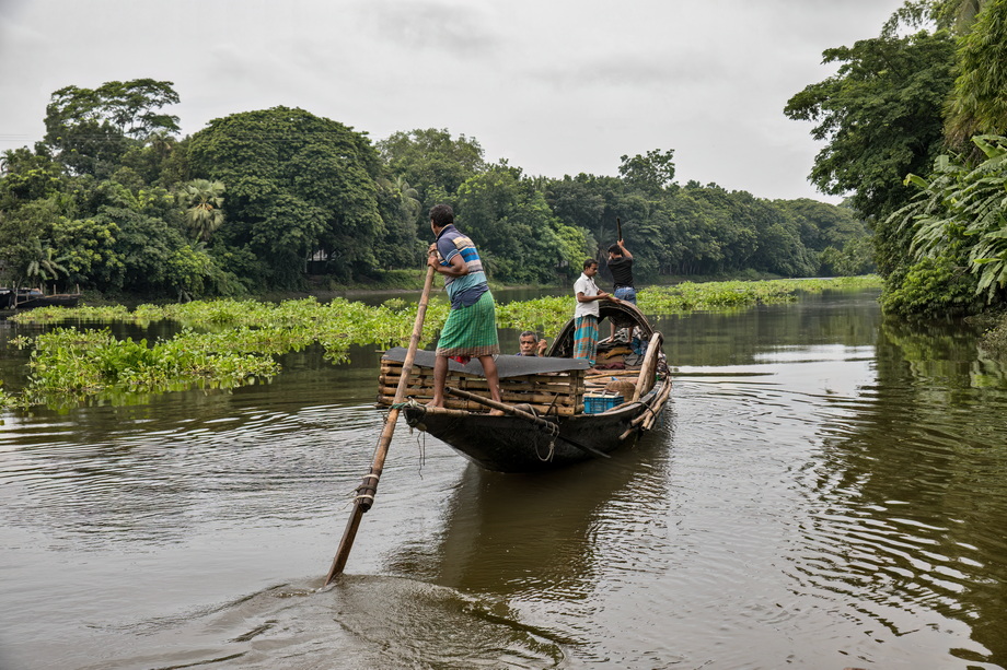 Otter Fishing in Bangladesh